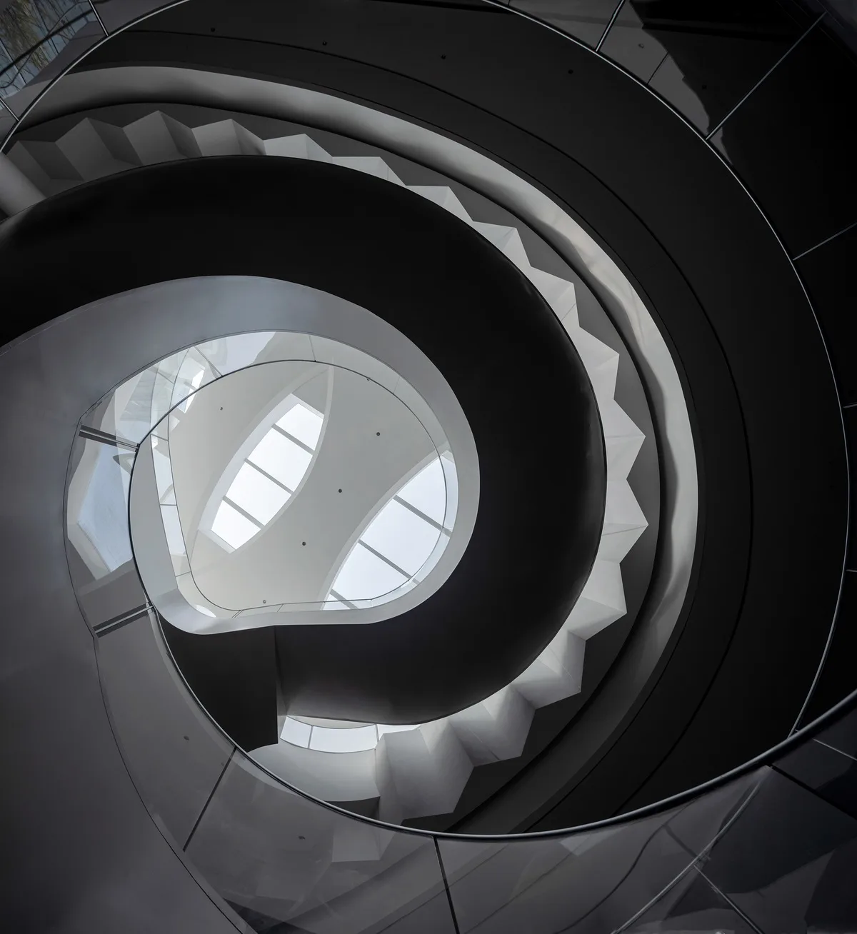 BIM Architecture | Shanghai Hongqiao's First Contemporary Art Museum: A 'Wing' Emerging from the Square Urban Texture / San Yi Design