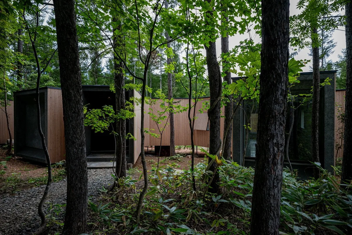 BIM Architecture | Hokkaido Forest Lodge, Extended 'Tendons'/Florian Busch Architects