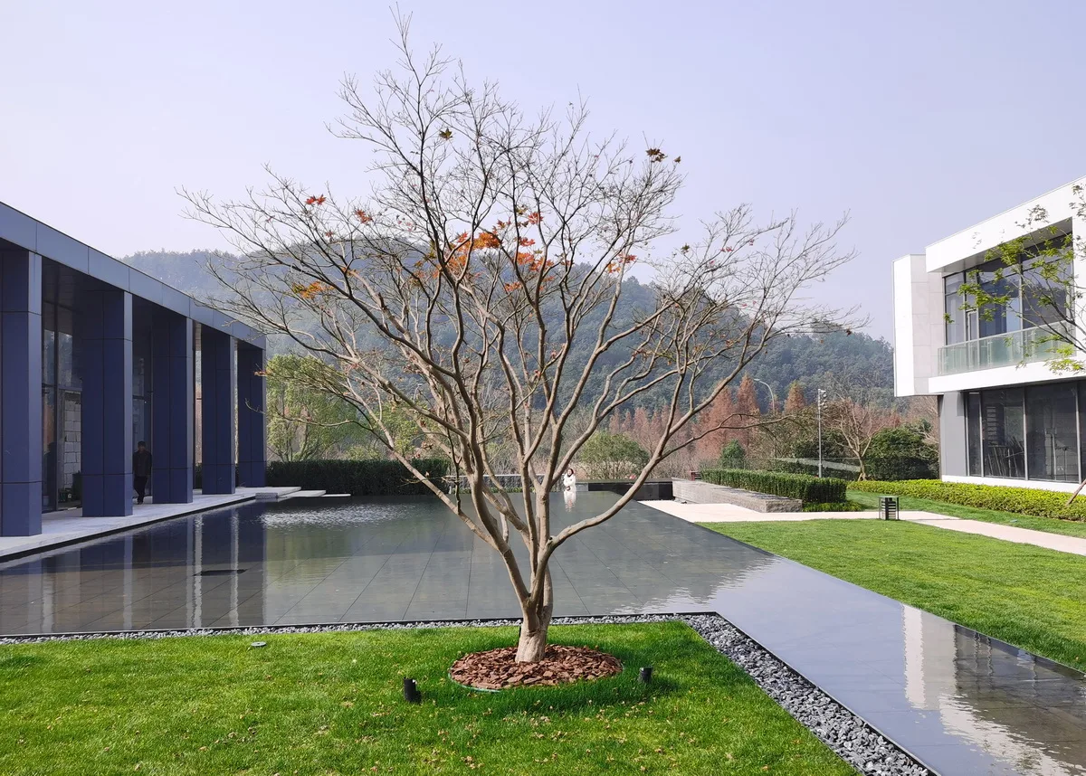 BIM Architecture | Qianhu 02-3C Plot Project/Hong Wei Studio