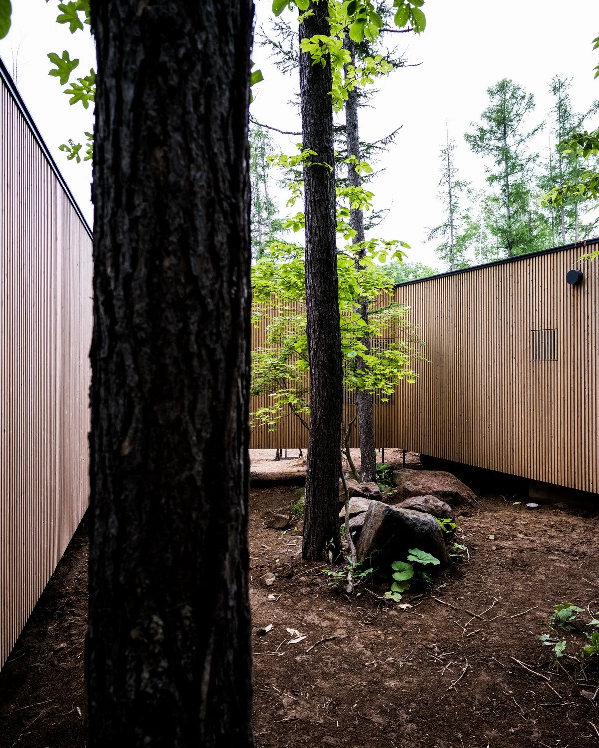 BIM Architecture | Hokkaido Forest Lodge, Extended 'Tendons'/Florian Busch Architects