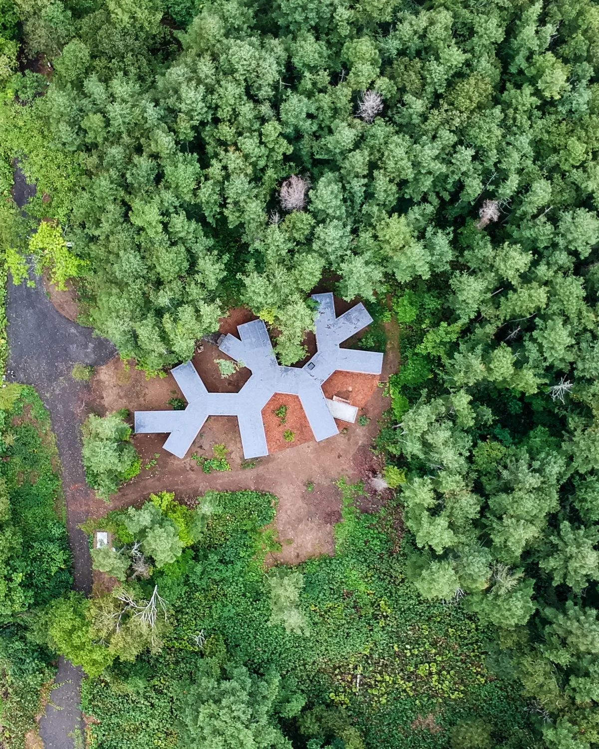 BIM Architecture | Hokkaido Forest Lodge, Extended 'Tendons'/Florian Busch Architects