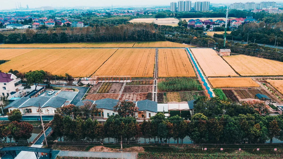 BIM Architecture | Renovation of Agricultural Tool Warehouse in Grain Fields - Huahong Farming and Weaving Hall/Chuanglin Zebai