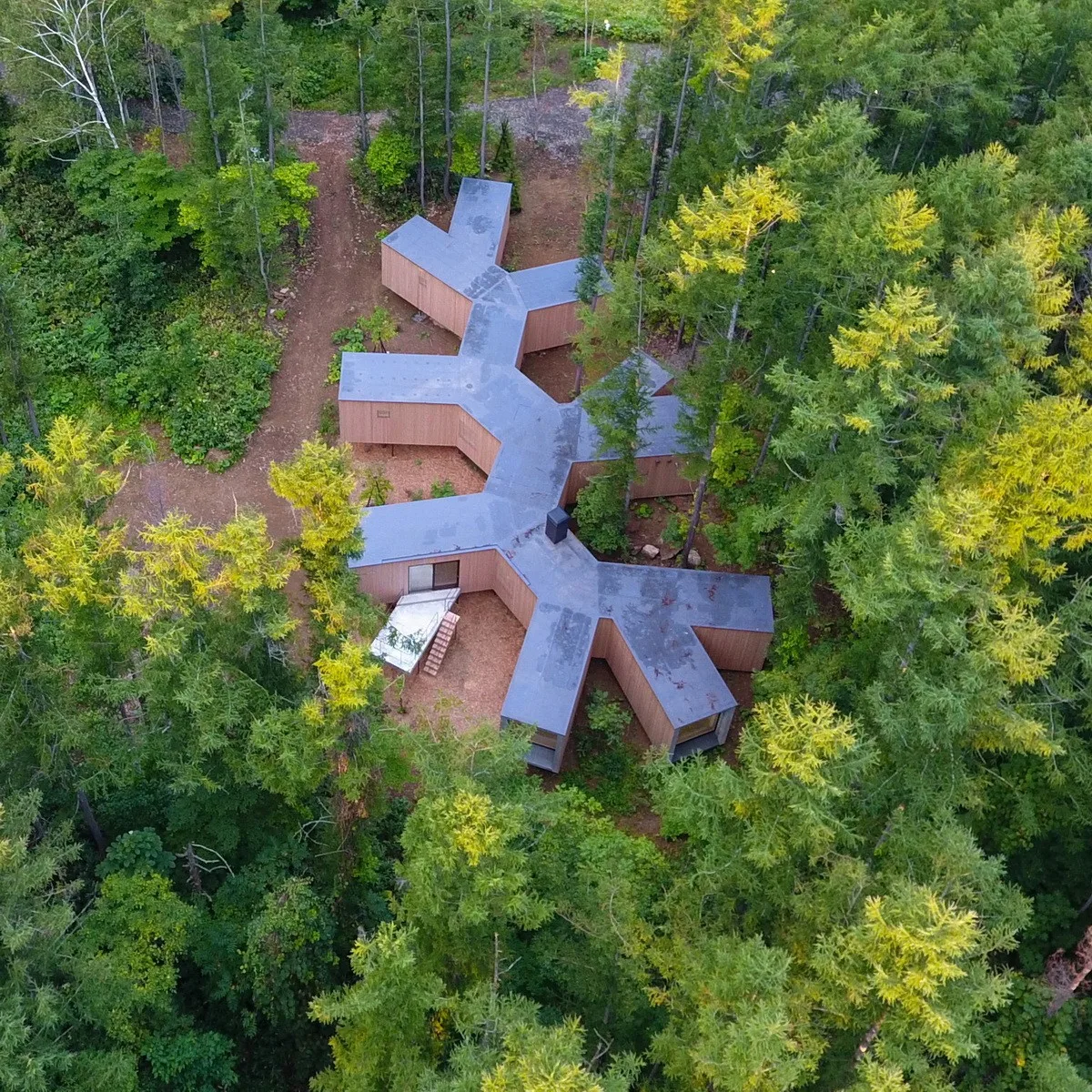 BIM Architecture | Hokkaido Forest Lodge, Extended 'Tendons'/Florian Busch Architects