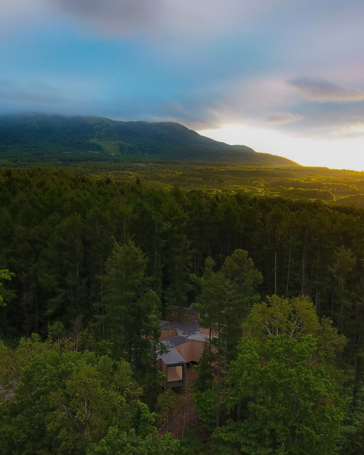 BIM Architecture | Hokkaido Forest Lodge, Extended 'Tendons'/Florian Busch Architects