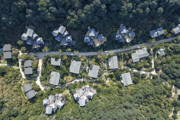 BIM Architecture | Hangzhou Kaiyuan Senbo Resort Hotel "Tree House": Crowded and Pushing "Dwarfs"/Wang Hui Architecture Studio
