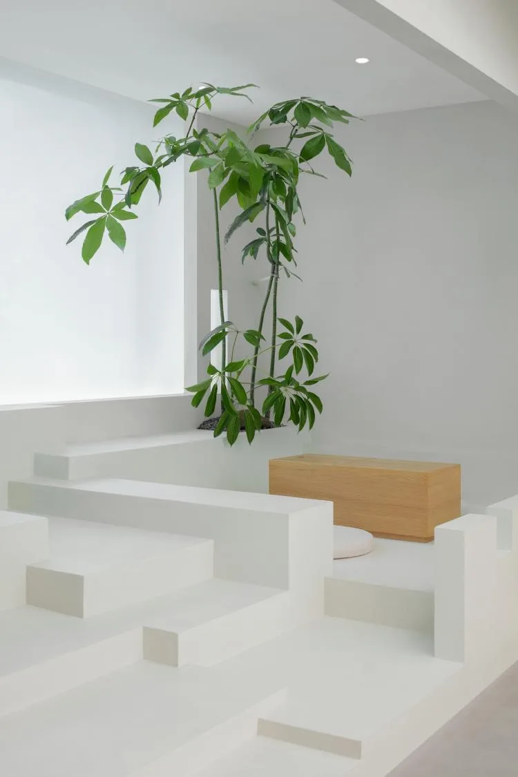 BIM Architecture | Emotional Separation, Between Interior and Exterior - Pu She Tea Room Design/Introduction Studio