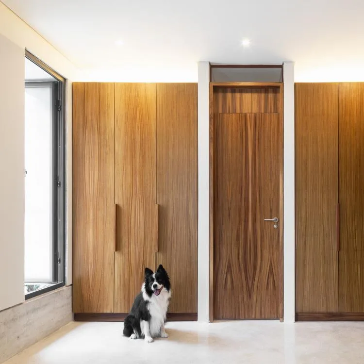 BIM Architecture | Risch Residential, Mexico/Kiltro Polaris Arquitectura