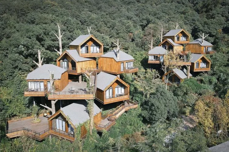 BIM Architecture | Hangzhou Kaiyuan Senbo Resort Hotel "Tree House": Crowded and Pushing "Dwarfs"/Wang Hui Architecture Studio