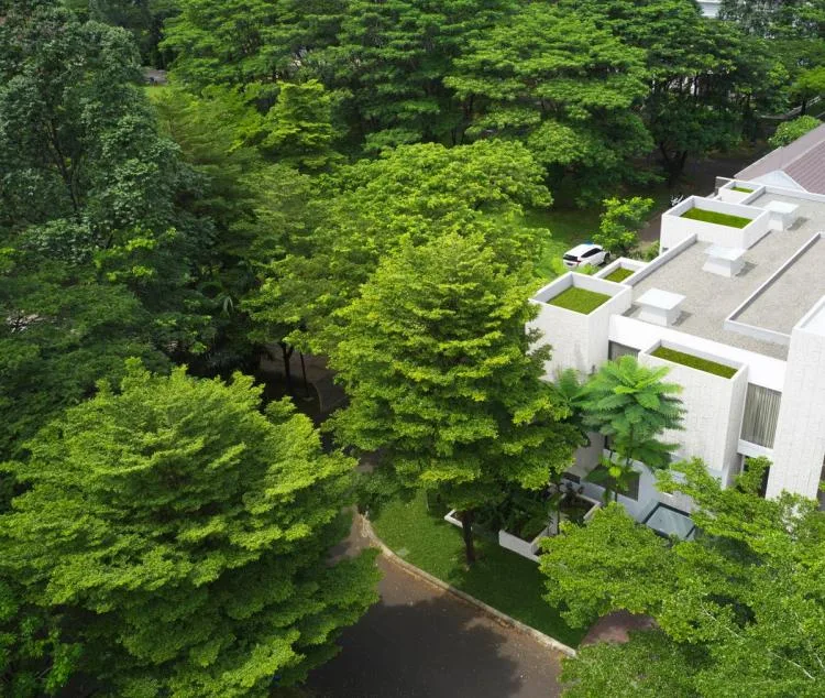 BIM Architecture | Indonesia Natural Lighting Experimental Residential/RAD+ar