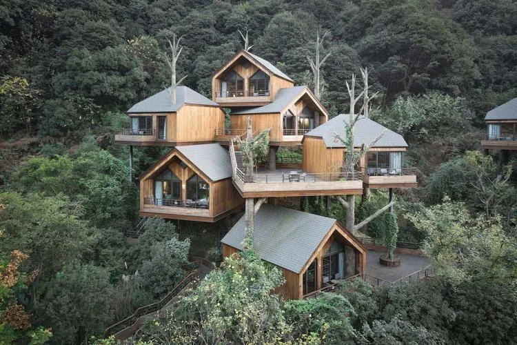 BIM Architecture | Hangzhou Kaiyuan Senbo Resort Hotel "Tree House": Crowded and Pushing "Dwarfs"/Wang Hui Architecture Studio