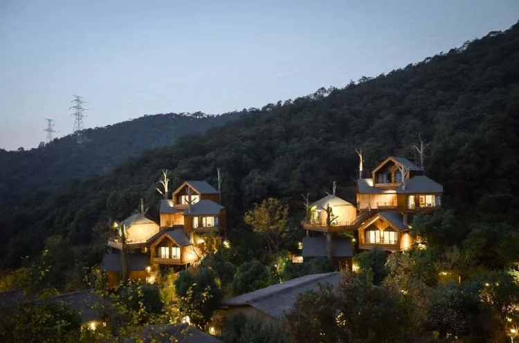 BIM Architecture | Hangzhou Kaiyuan Senbo Resort Hotel "Tree House": Crowded and Pushing "Dwarfs"/Wang Hui Architecture Studio
