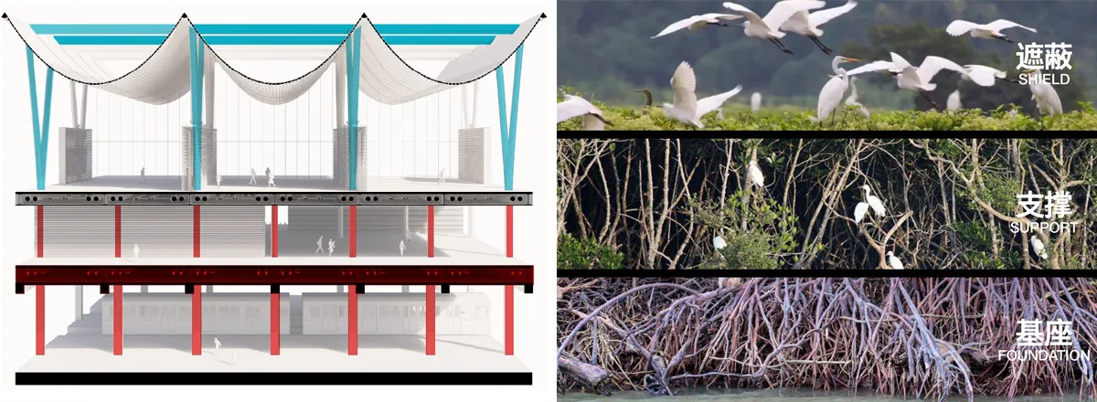 BIM Architecture | Shenzhen Mangrove Wetland Museum Competition Finalist Proposal/Internal Architecture+Prolar Architecture+Botao Landscape