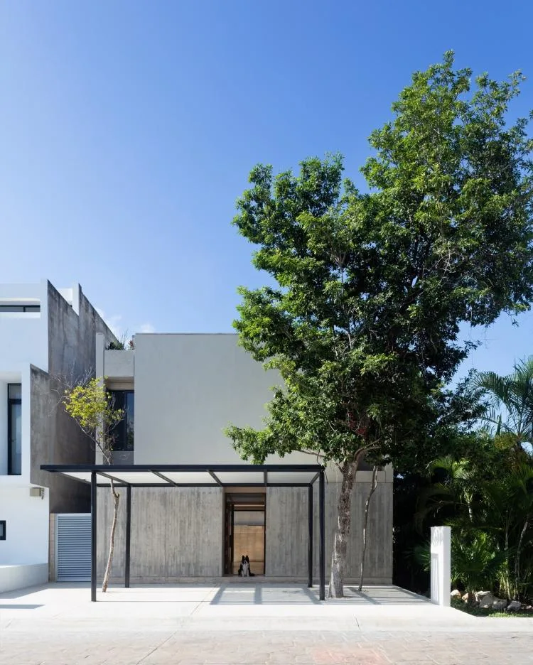 BIM Architecture | Risch Residential, Mexico/Kiltro Polaris Arquitectura