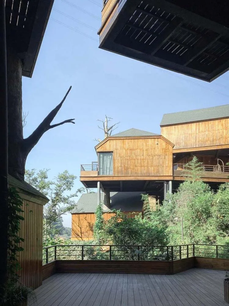 BIM Architecture | Hangzhou Kaiyuan Senbo Resort Hotel "Tree House": Crowded and Pushing "Dwarfs"/Wang Hui Architecture Studio