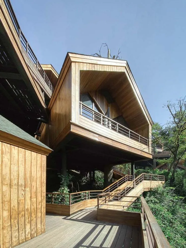 BIM Architecture | Hangzhou Kaiyuan Senbo Resort Hotel "Tree House": Crowded and Pushing "Dwarfs"/Wang Hui Architecture Studio