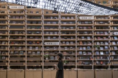 BIM Architecture: Fangsuo Experimental Cultural Brand Space in Changjiang, Heji, Anhui by LAD (Reed) Design Firm-BIM WORLD