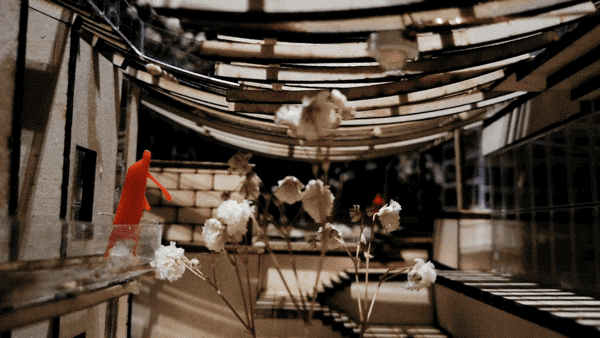 BIM Architecture | Top 100 Newcomer 2020 Architecture Competition | Fun Rooftop, Dazzling Girl Designs a Fun Dream