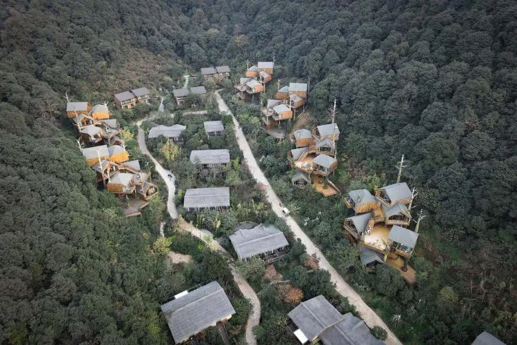 BIM Architecture | Hangzhou Kaiyuan Senbo Resort Hotel "Tree House": Crowded and Pushing "Dwarfs"/Wang Hui Architecture Studio