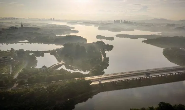 BIM Architecture | Songshan Lake Technology Exchange Platform | TAO Architectural Firm