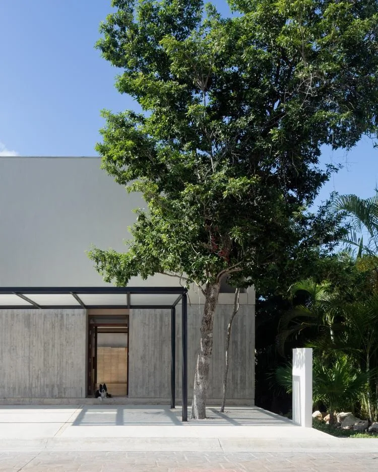BIM Architecture | Risch Residential, Mexico/Kiltro Polaris Arquitectura