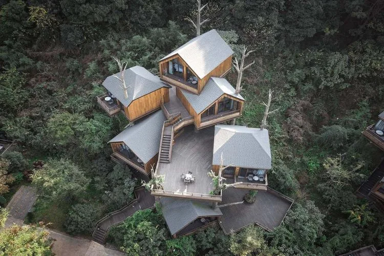 BIM Architecture | Hangzhou Kaiyuan Senbo Resort Hotel "Tree House": Crowded and Pushing "Dwarfs"/Wang Hui Architecture Studio