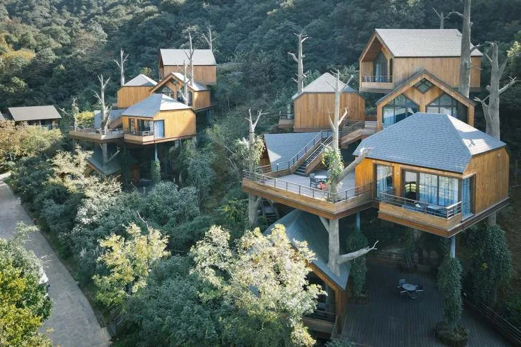 BIM Architecture | Hangzhou Kaiyuan Senbo Resort Hotel "Tree House": Crowded and Pushing "Dwarfs"/Wang Hui Architecture Studio