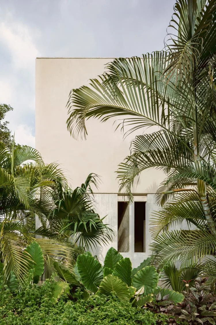 BIM Architecture | Risch Residential, Mexico/Kiltro Polaris Arquitectura
