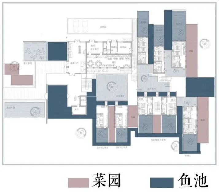 BIM Architecture | Top 100 Newcomer 2020 Architecture Competition | Fun Rooftop, Dazzling Girl Designs a Fun Dream