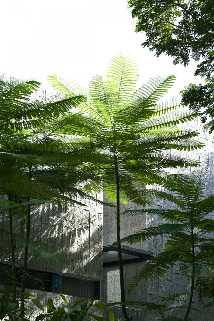 BIM Architecture | Indonesia Natural Lighting Experimental Residential/RAD+ar
