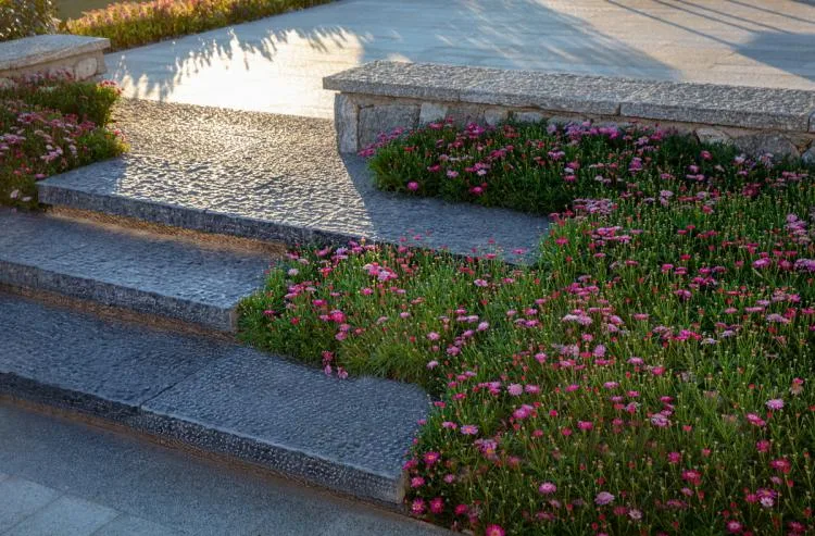 BIM Architecture | Landscape Design of Dali's Small Courtyard Central Living Experience Center/MANG Grid Landscape