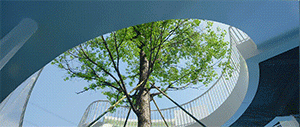 BIM Architecture | Shengguo (Yushan International) Kindergarten/Dika Kindergarten Design Center
