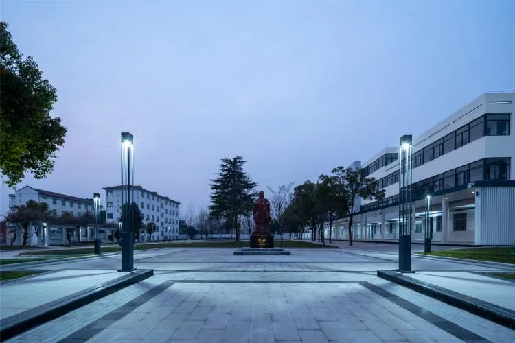 BIM Architecture | Rural Revitalization: Renovation of Township Middle Schools - Planning and Design of Xinrui Guhe Middle School in Quanjiao County/Shanghai Sixu Architecture