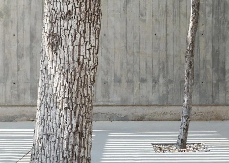 BIM Architecture | Risch Residential, Mexico/Kiltro Polaris Arquitectura