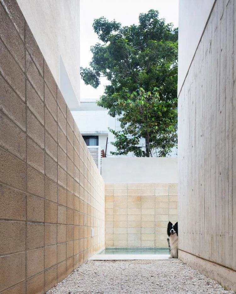 BIM Architecture | Risch Residential, Mexico/Kiltro Polaris Arquitectura