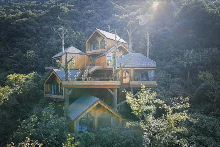 BIM Architecture | Hangzhou Kaiyuan Senbo Resort Hotel "Tree House": Crowded and Pushing "Dwarfs"/Wang Hui Architecture Studio