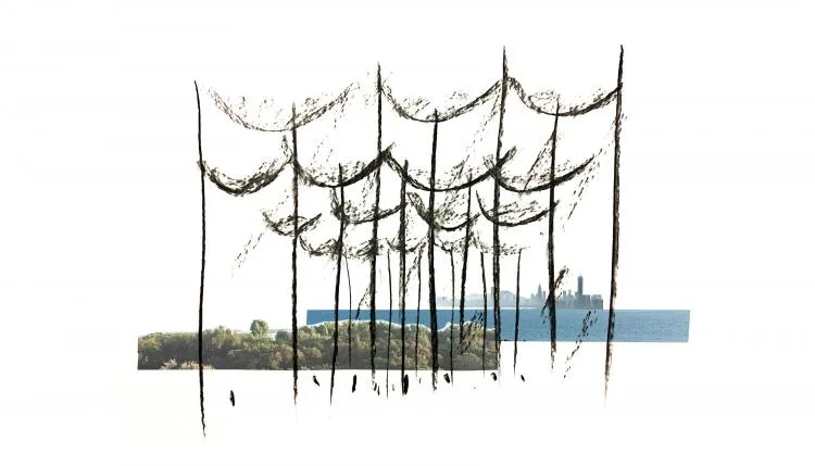 BIM Architecture | Winning Proposal - Shenzhen Mangrove Wetland Museum Project International Competition/TAO+AECOM