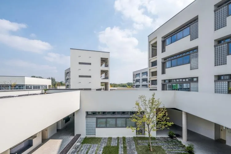 BIM Architecture | Tongji University Affiliated Experimental Primary School/Liu Yuyang Architecture Firm