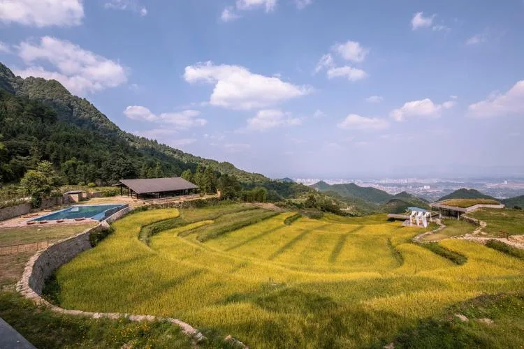 BIM Architecture | Livable and Tourable, Between Half Mountain and Rice Fields: Architectural Design of Bagu Su Ji in Dianjiang, Chongqing/Sanwen Architecture