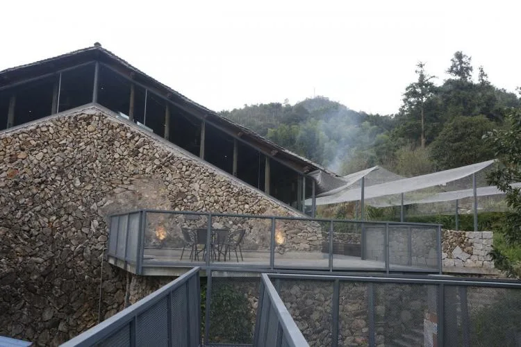BIM Architecture | Xiao'ao Zhongtong Cultural Station: Living leisurely in a quaint village/Designing for all living beings