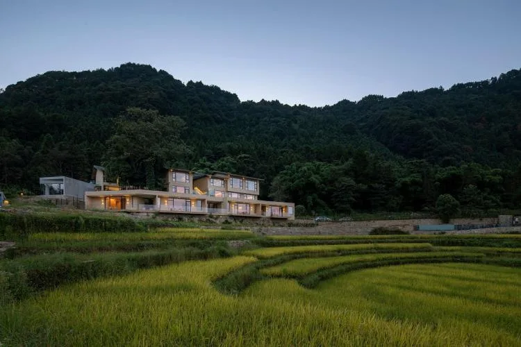 BIM Architecture | Livable and Tourable, Between Half Mountain and Rice Fields: Architectural Design of Bagu Su Ji in Dianjiang, Chongqing/Sanwen Architecture