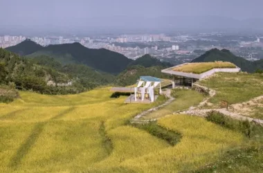 BIM Architecture: Designing Bagu Su Ji in Dianjiang, Chongqing – A Harmonious Blend of Mountain and Rice Field Living-BIM WORLD