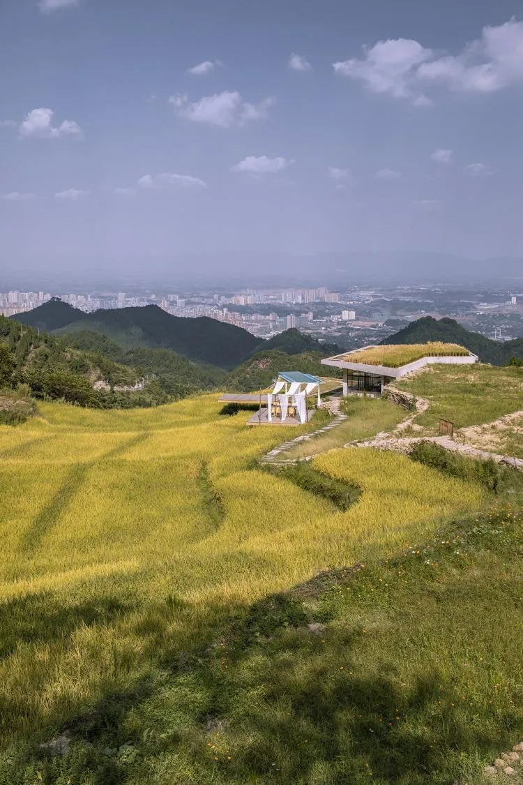 BIM Architecture | Livable and Tourable, Between Half Mountain and Rice Fields: Architectural Design of Bagu Su Ji in Dianjiang, Chongqing/Sanwen Architecture