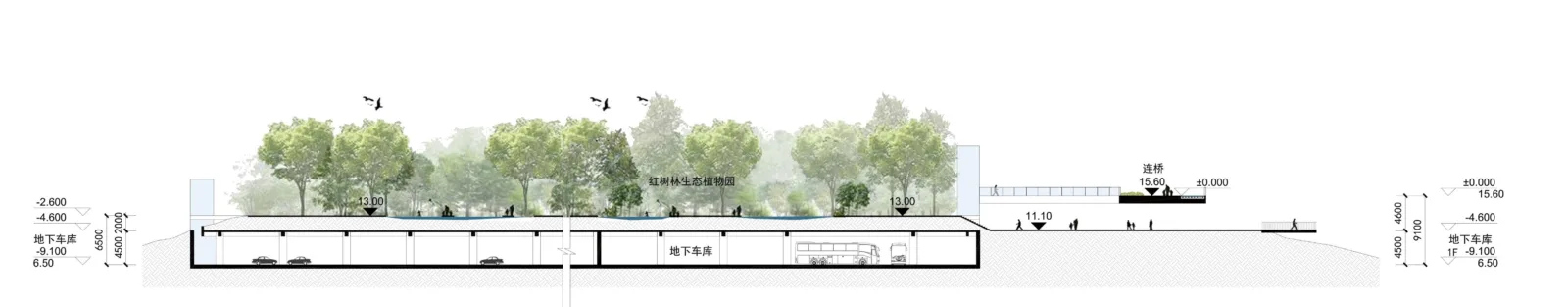 BIM Architecture | Winning Proposal - Shenzhen Mangrove Wetland Museum Project International Competition/TAO+AECOM