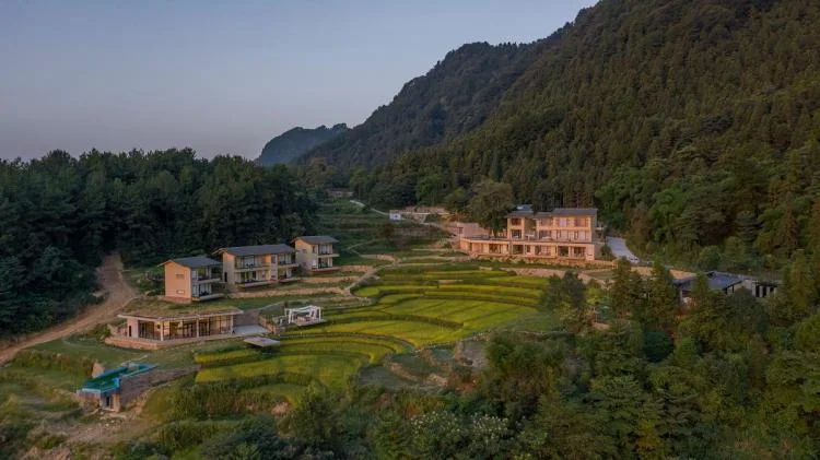 BIM Architecture | Livable and Tourable, Between Half Mountain and Rice Fields: Architectural Design of Bagu Su Ji in Dianjiang, Chongqing/Sanwen Architecture