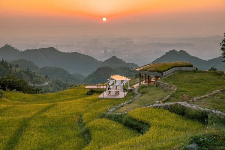 BIM Architecture | Livable and Tourable, Between Half Mountain and Rice Fields: Architectural Design of Bagu Su Ji in Dianjiang, Chongqing/Sanwen Architecture