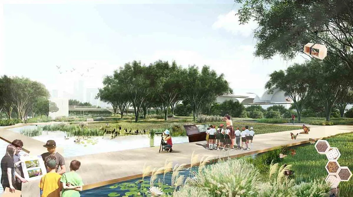 BIM Architecture | Winning Proposal - Shenzhen Mangrove Wetland Museum Project International Competition/TAO+AECOM