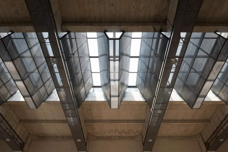 BIM Architecture | Tongji University Affiliated Experimental Primary School/Liu Yuyang Architecture Firm
