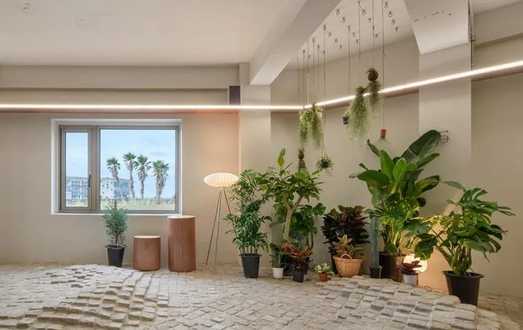 BIM Architecture | Jeju Island's' Wind Home ', a place to perceive the wind/STARSIS