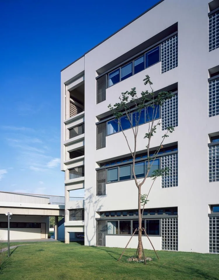 BIM Architecture | Tongji University Affiliated Experimental Primary School/Liu Yuyang Architecture Firm