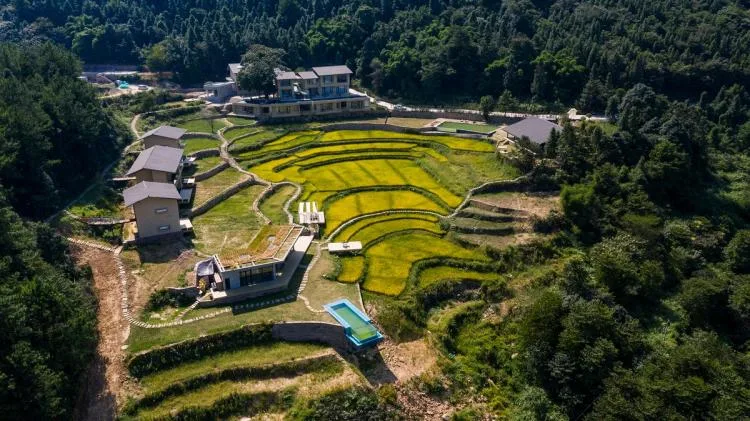 BIM Architecture | Livable and Tourable, Between Half Mountain and Rice Fields: Architectural Design of Bagu Su Ji in Dianjiang, Chongqing/Sanwen Architecture